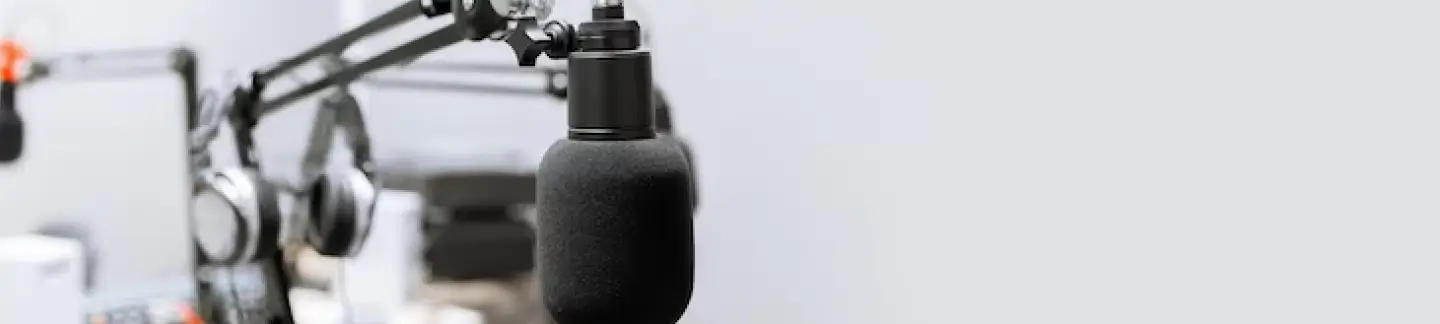 Podcast mic